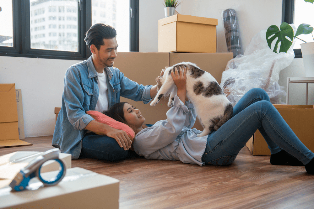 couple feeling happy relaxing and play with their cat