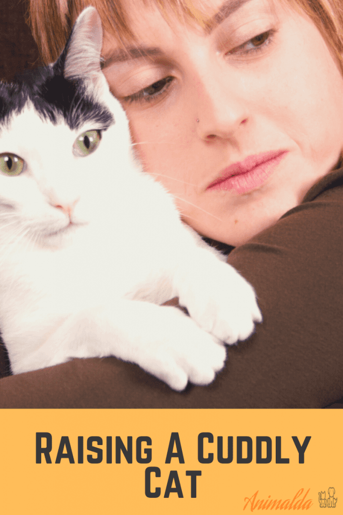 How to Raise A Cuddly Cat - The Ultimate Guide
