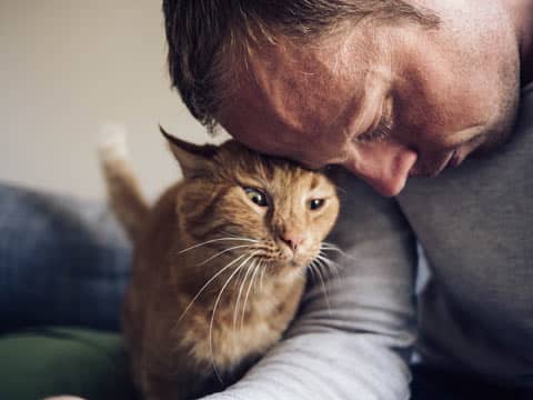 Cat'S Purr Have Healing Powers